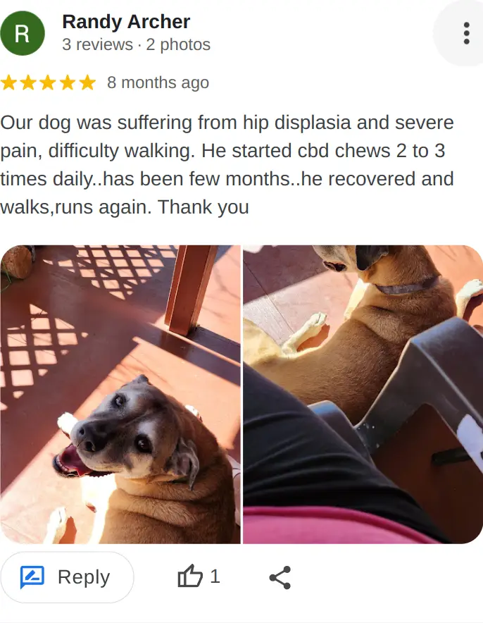 Customer Reviews