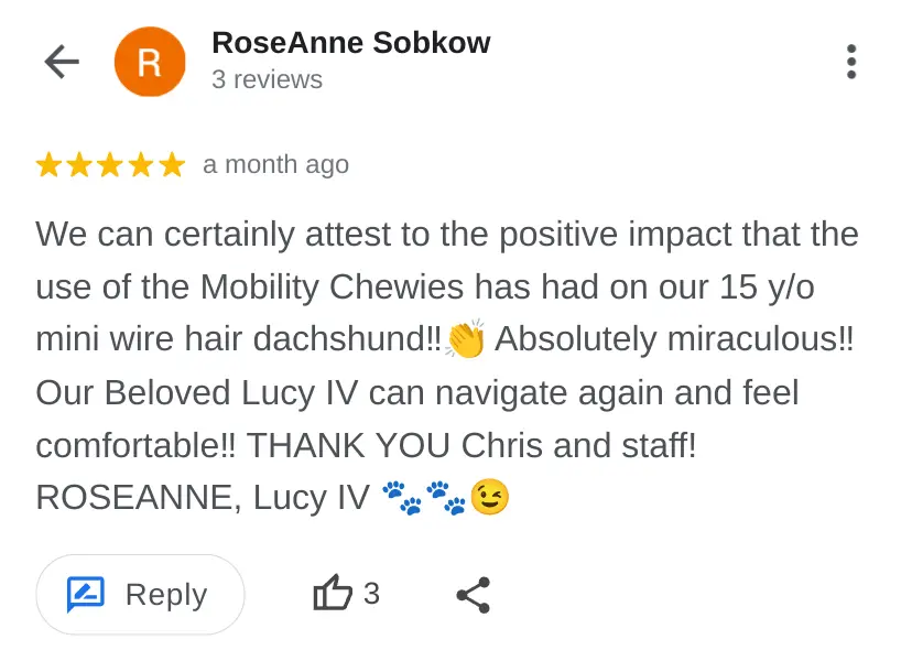 Customer Reviews